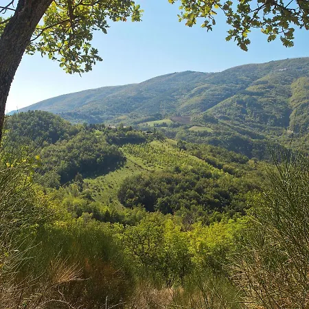 Locazione Turistica -1